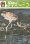 Юный натуралист №05/1981 — обложка книги.
